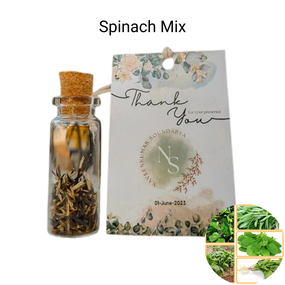 Seed Bottles with Tag| Eco-Friendly Gifting Solution
