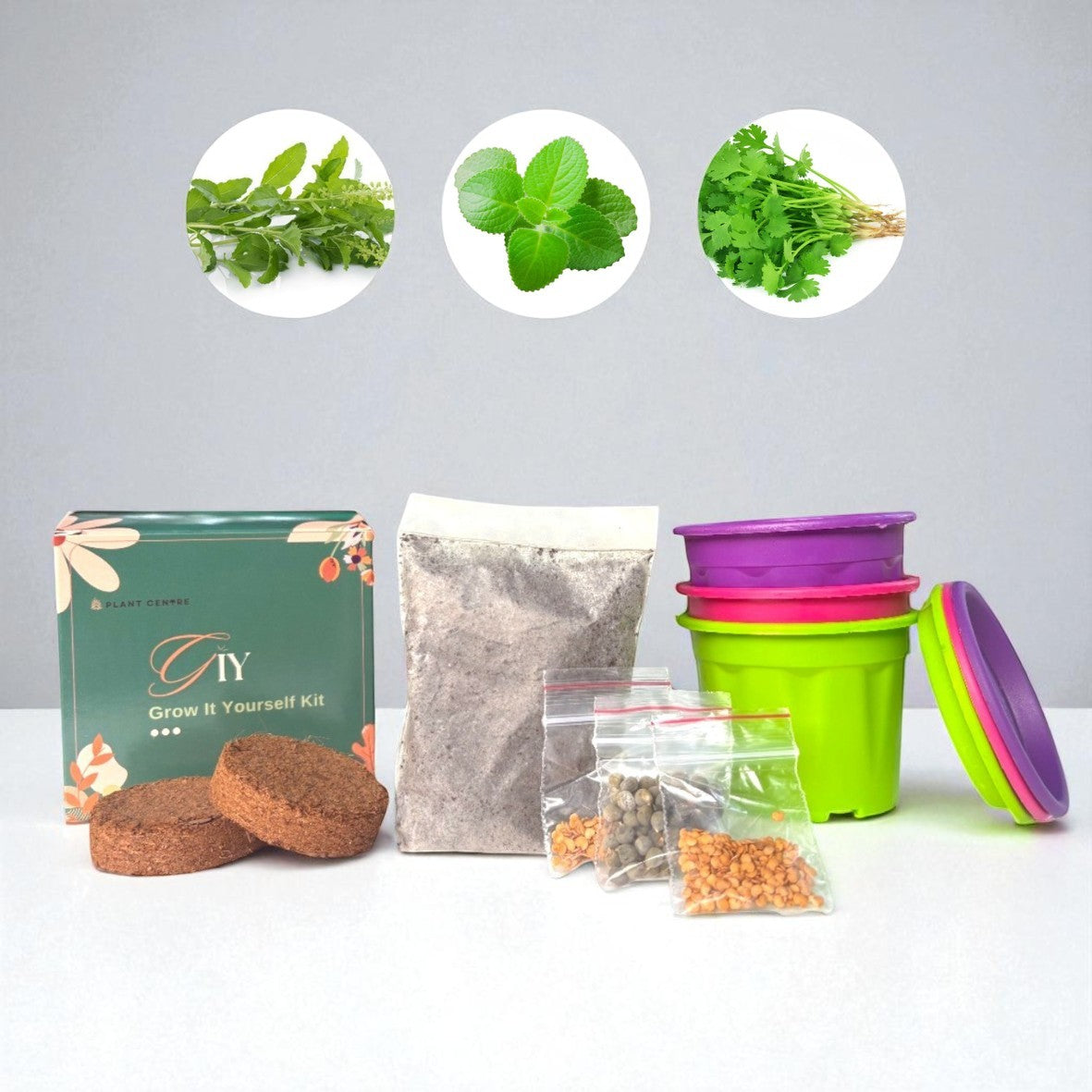 DIY Set of 3 Grow Kit for Kids, Children - Grow It Yourself Kit - Set of 3 Pots and 3 Seeds