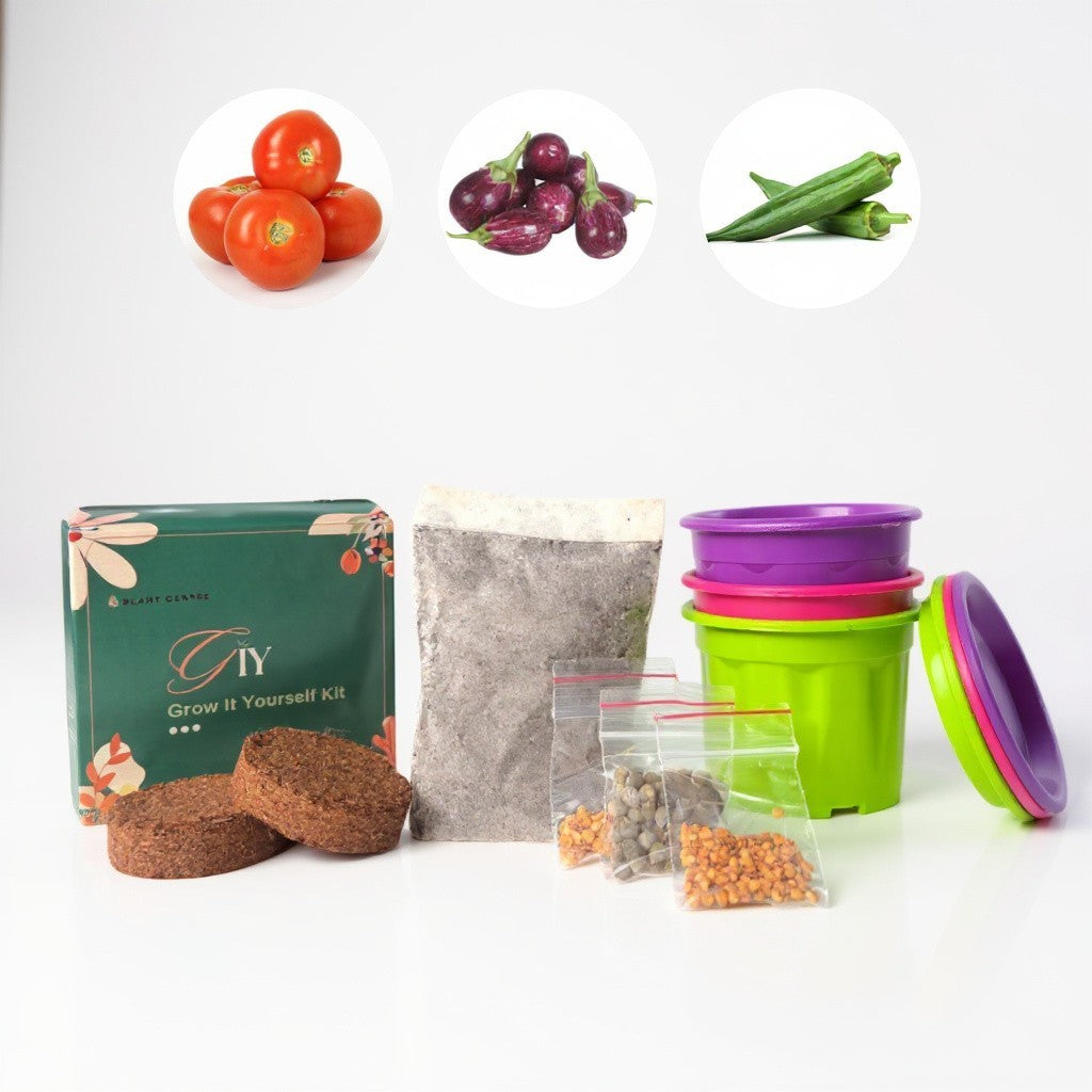 DIY Set of 3 Grow Kit for Kids, Children - Grow It Yourself Kit - Set of 3 Pots and 3 Seeds
