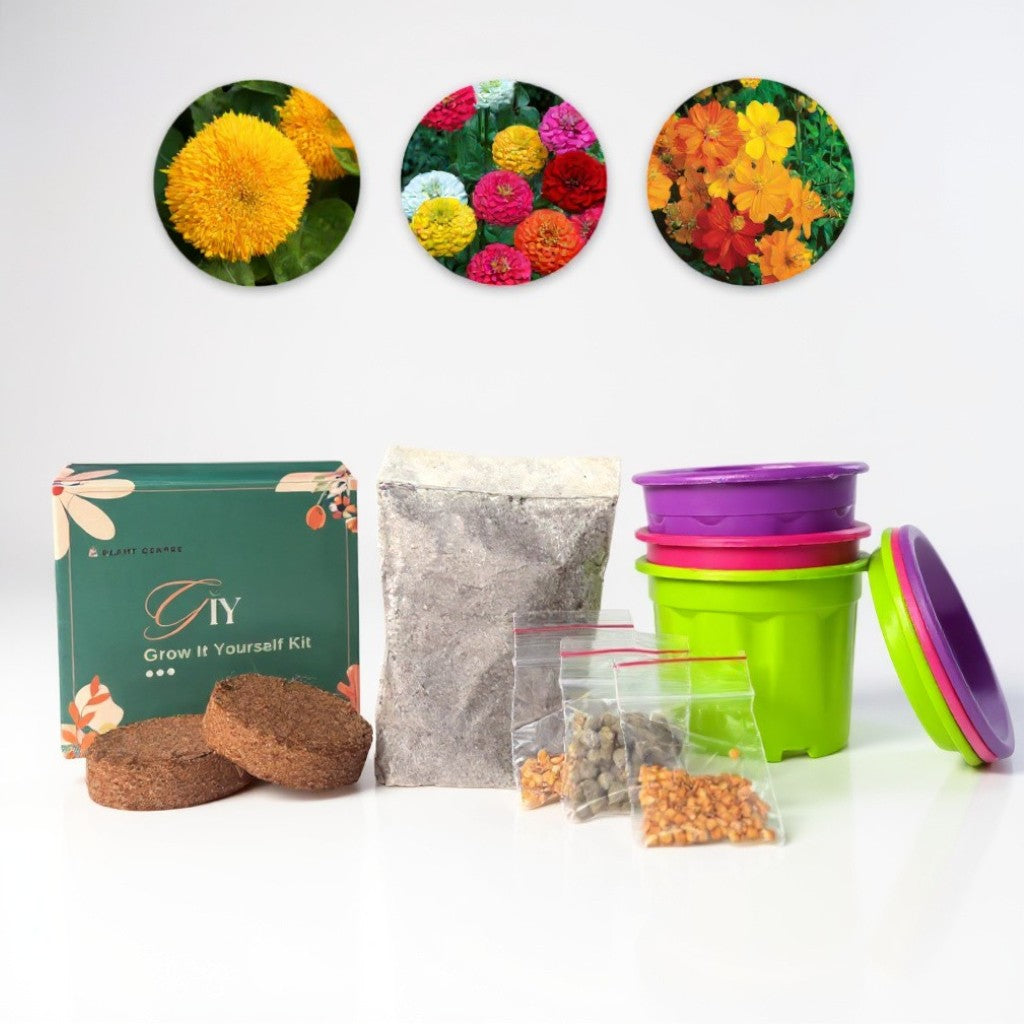 DIY Set of 3 Grow Kit for Kids, Children - Grow It Yourself Kit - Set of 3 Pots and 3 Seeds