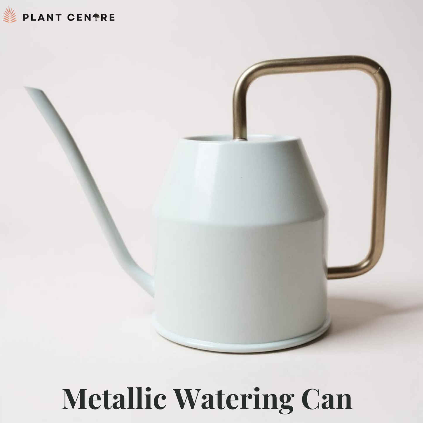 Metallic Watering Can | 2 Ltrs | Premium Garden Tool for Indoor & Outdoor Plants