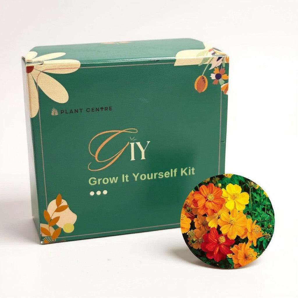 DIY Grow Kit Coir Pot for Kids | Fun Gardening Activity