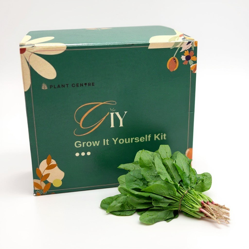 DIY Grow Kit – Single Pot - Grow It Yourself Kit |
