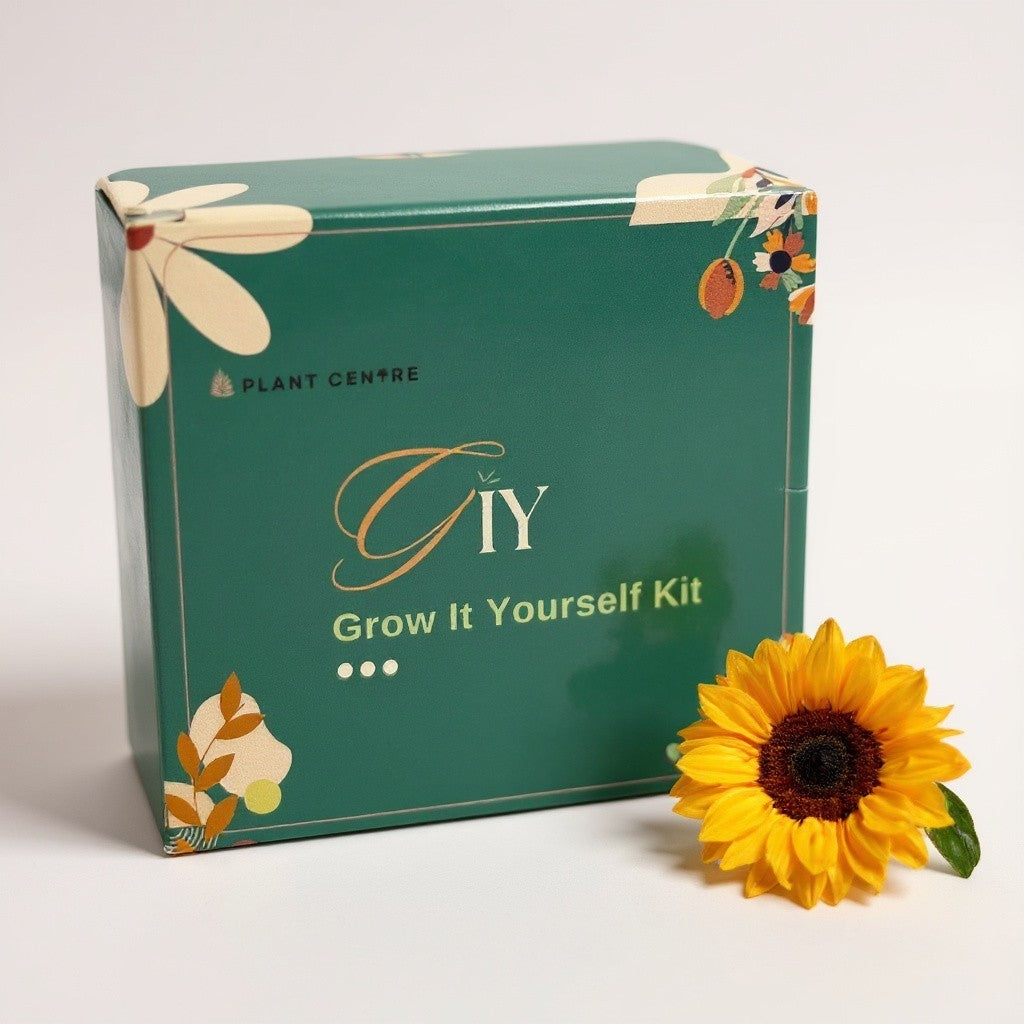 DIY Grow Kit Coir Pot for Kids | Fun Gardening Activity