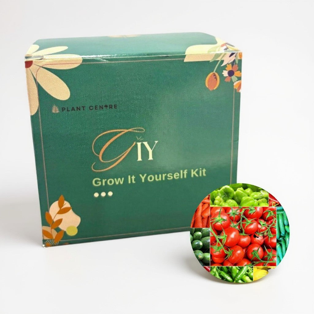 DIY Grow Kit – Single Pot - Grow It Yourself Kit |