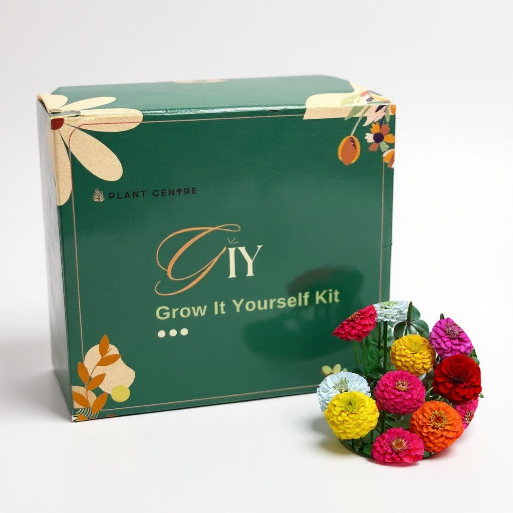DIY Grow Kit – Single Pot - Grow It Yourself Kit |