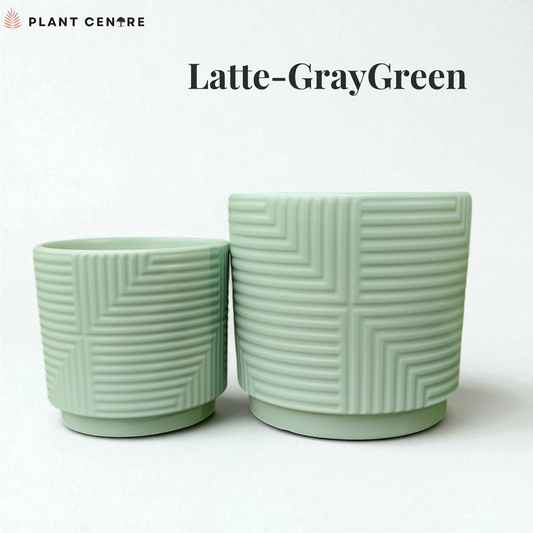 Person holding a small card with green leaf designs and text, against a plain background.