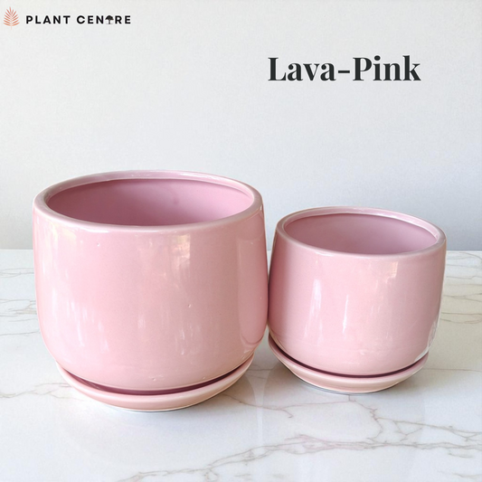 Two pink plant pots on a marble surface with 'Plant Centre' logo and 'Lava-Pink' text.
