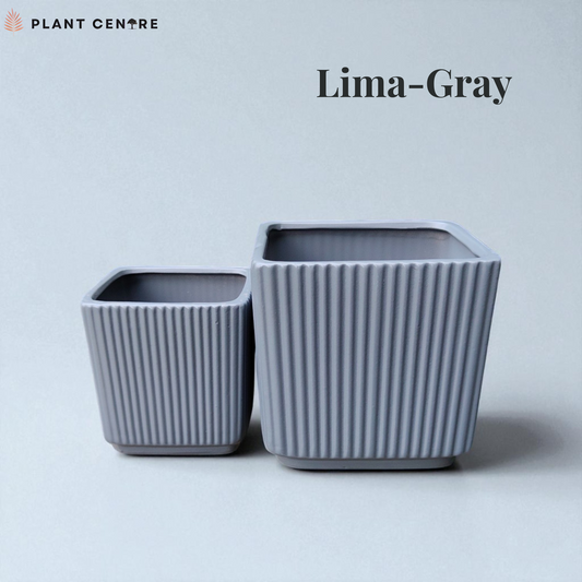 Two gray ribbed plant pots on a light blue background with 'Lima-Gray' text and Plant Centre logo.
