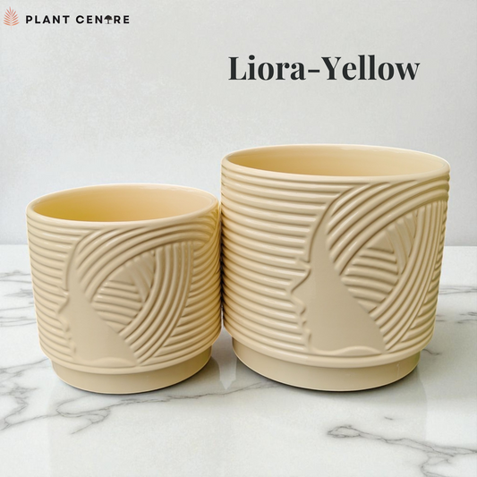 Two beige ceramic plant pots with leaf pattern on a marble surface, labeled 'Liora Yellow'.