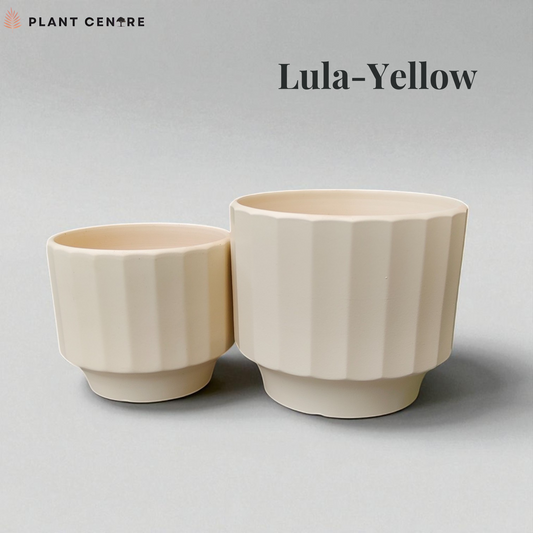 Two beige plant pots with 'Lula Yellow' branding on a gray background