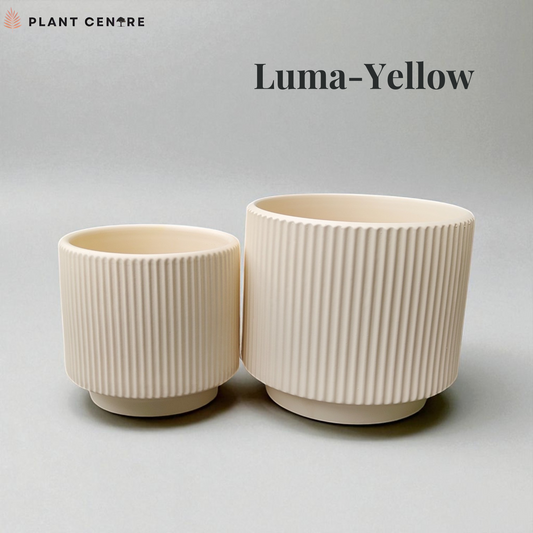 Row of succulents in burlap pots with decorative labels on a white background, featuring 'Plant Centre' branding.