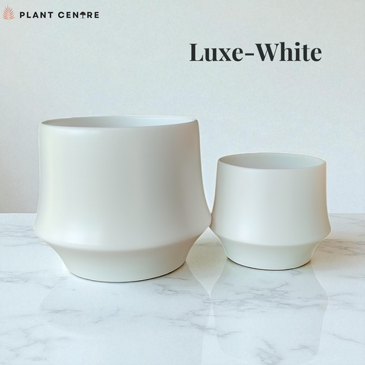 Two white plant pots on a marble surface with 'Plant Centre' branding.