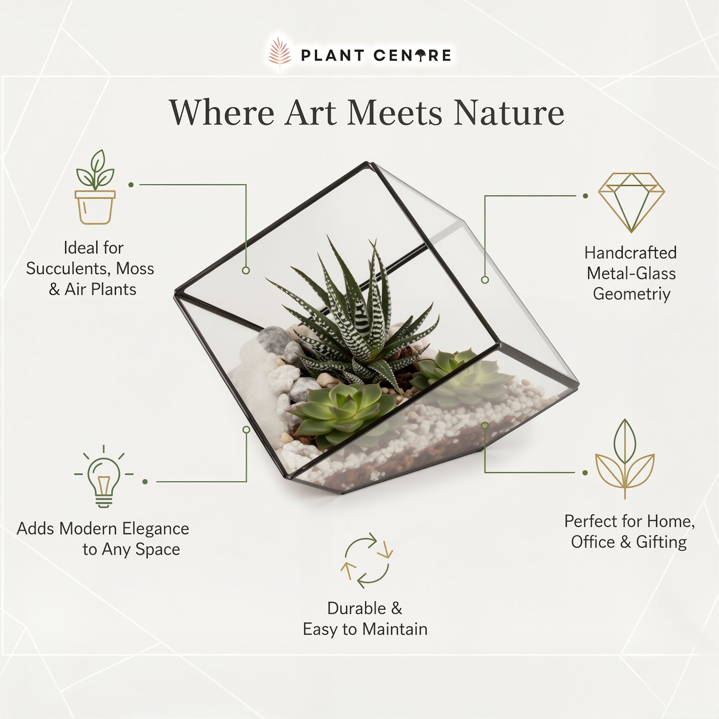 Geometric Terrarium | Modern Glass Planter for Succulents and Air Plants | Plant Centre
