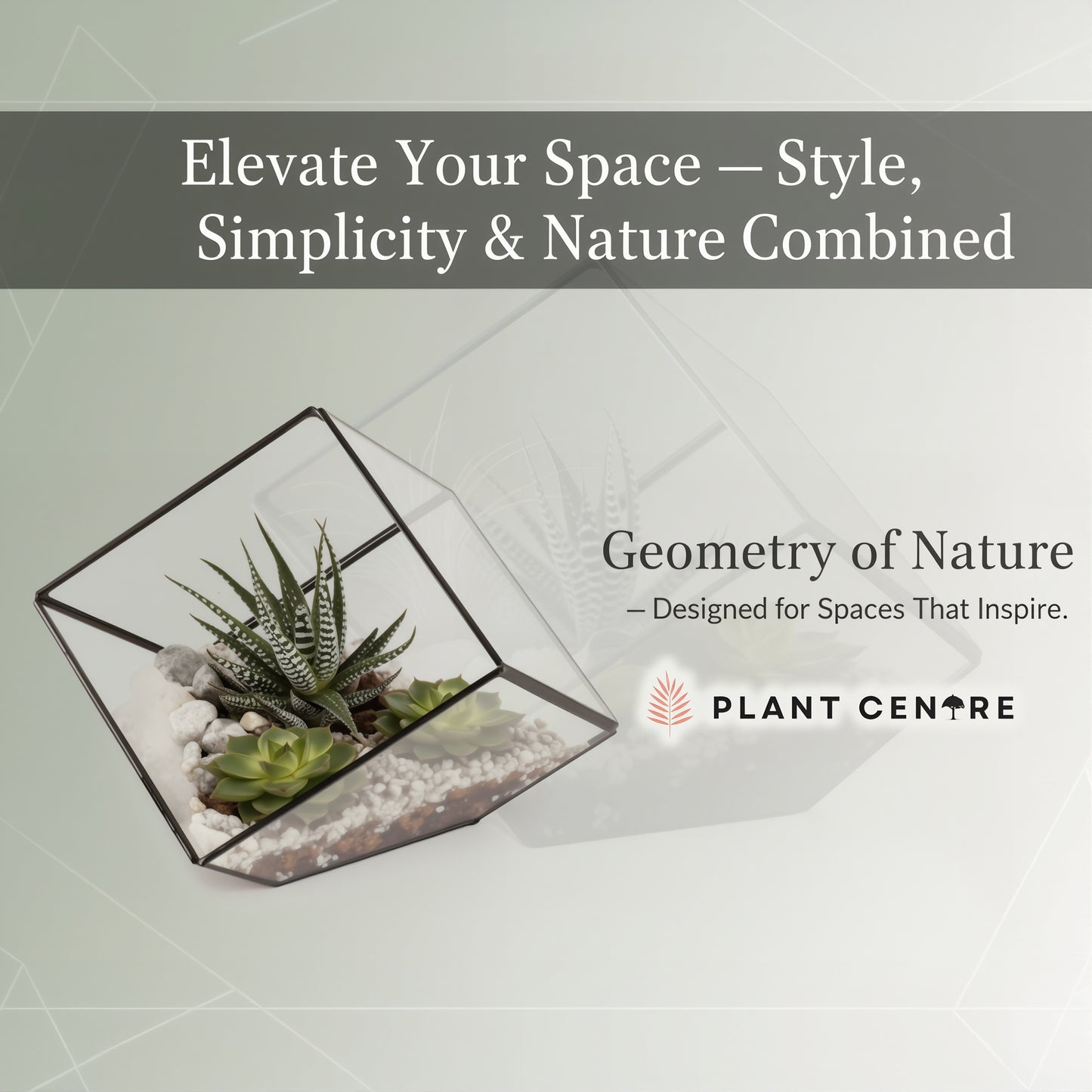 Geometric Terrarium | Modern Glass Planter for Succulents and Air Plants | Plant Centre