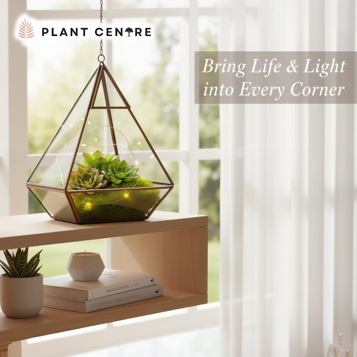 Triangle Shaped Terrarium | Elegant Glass Terrarium with Metal Frame for Succulents | Plant Centre