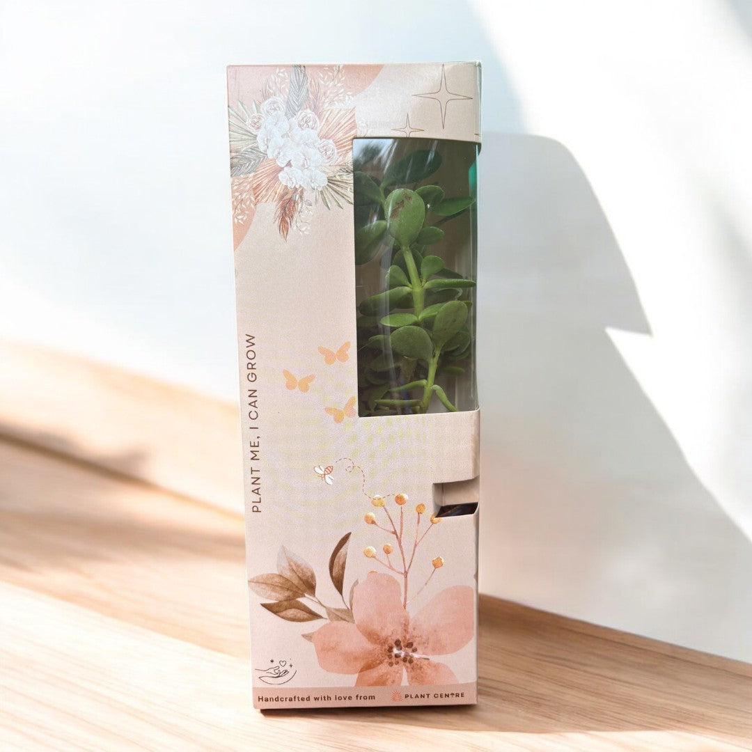 Gifting - Signature Package