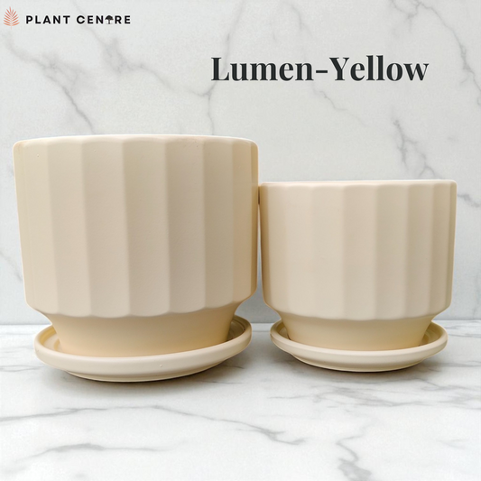 Two beige ceramic plant pots with saucers on a marble surface, labeled 'Lumen Yellow'.