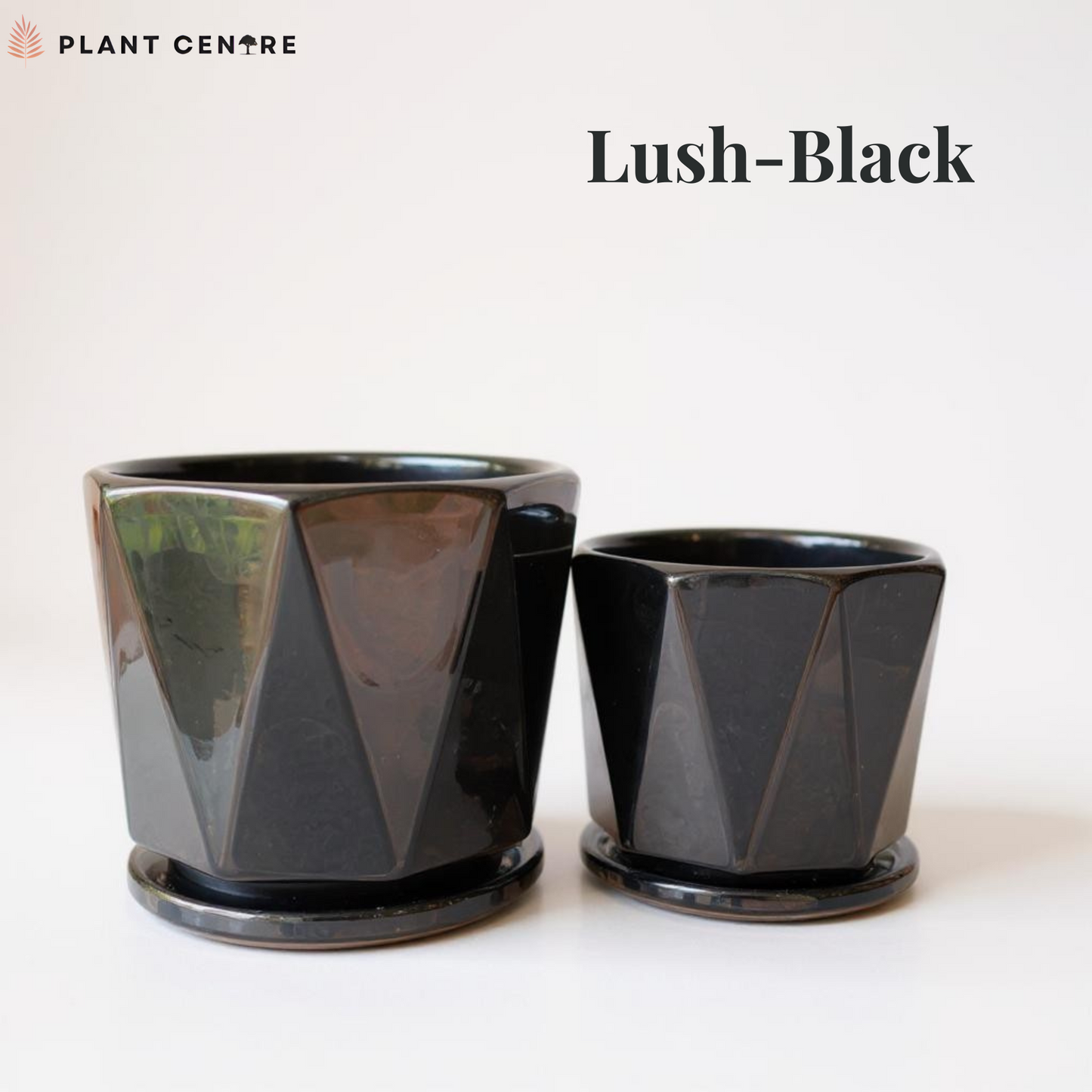 Two black geometric planters with 'Lush-Black' text and Plant Centre logo.