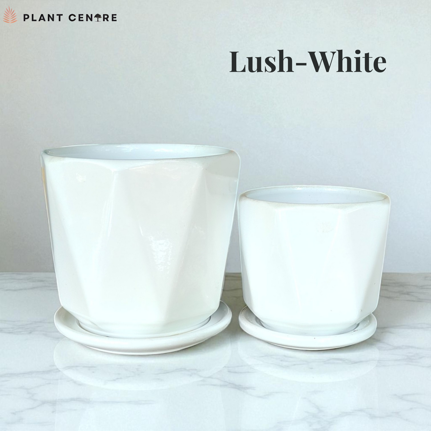 Two white plant pots with saucers on a marble surface, labeled 'Lush-White' by Plant Centre.