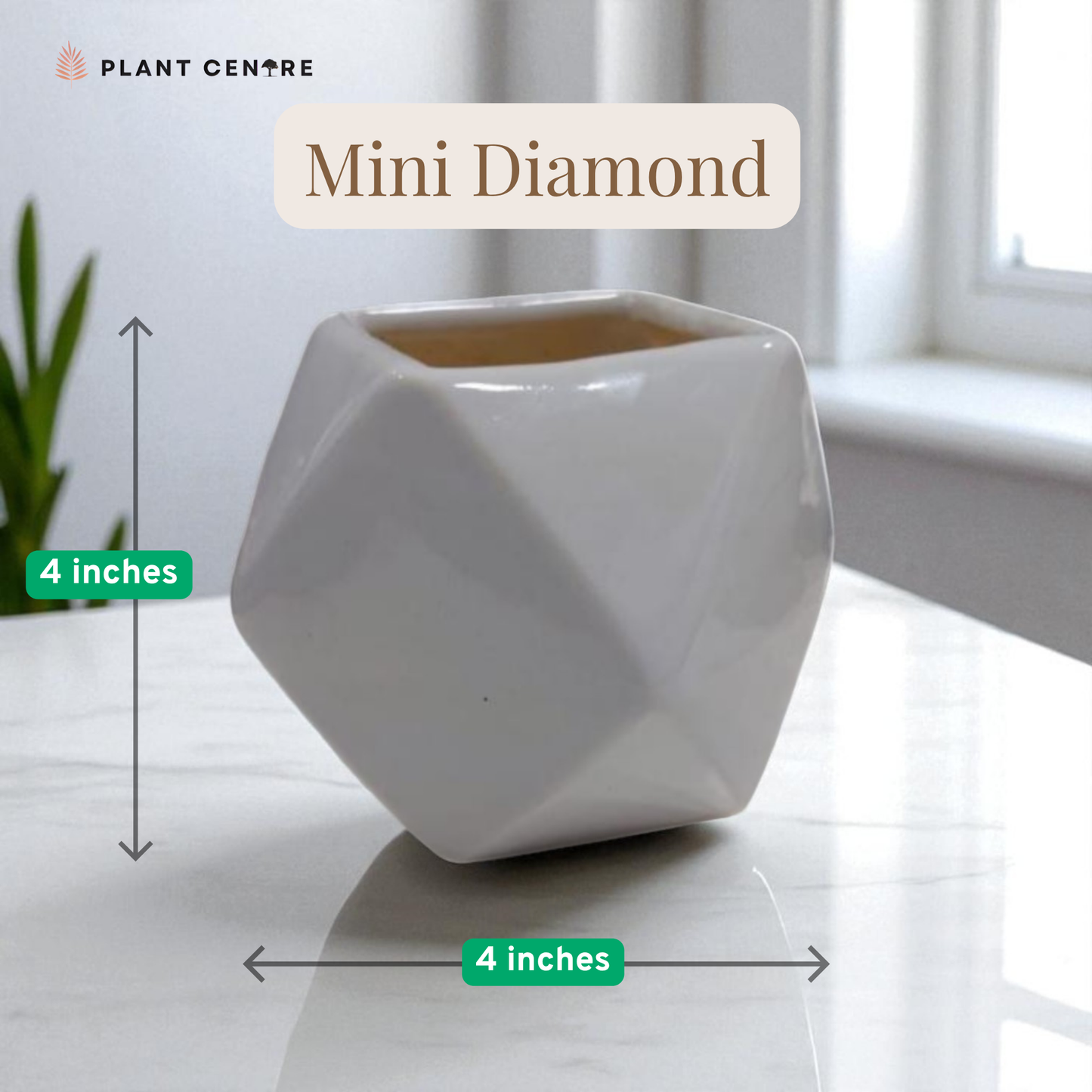 White geometric pot labeled 'Mini Diamond' with dimensions on a light surface.
