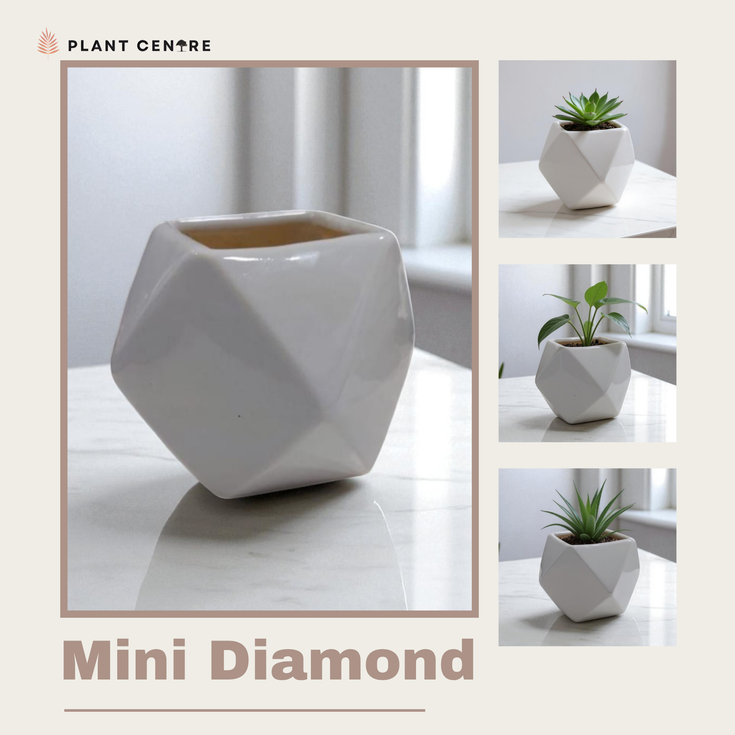 Collage of a geometric white planter labeled 'Mini Diamond' with plants inside on a light background.