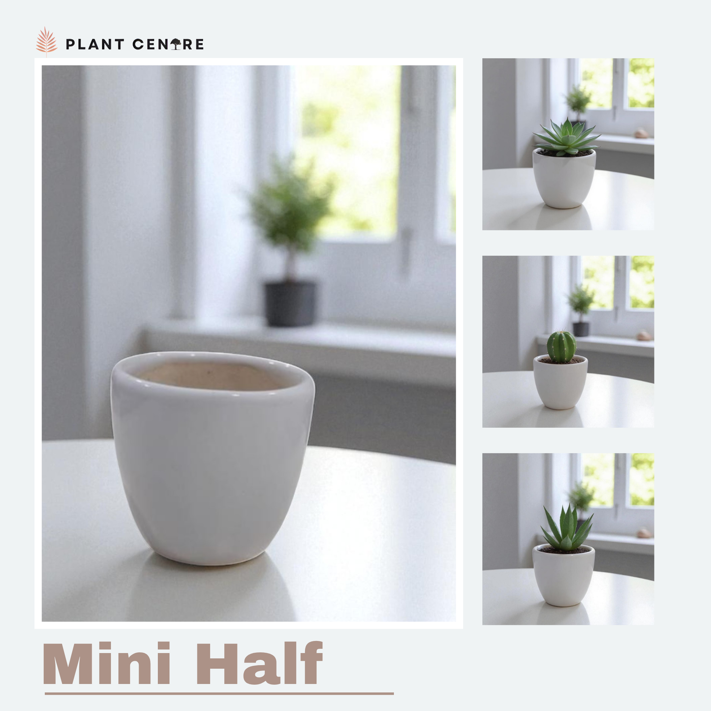 Collage of white plant pots with plants on a light background, featuring 'Plant Centre' branding.