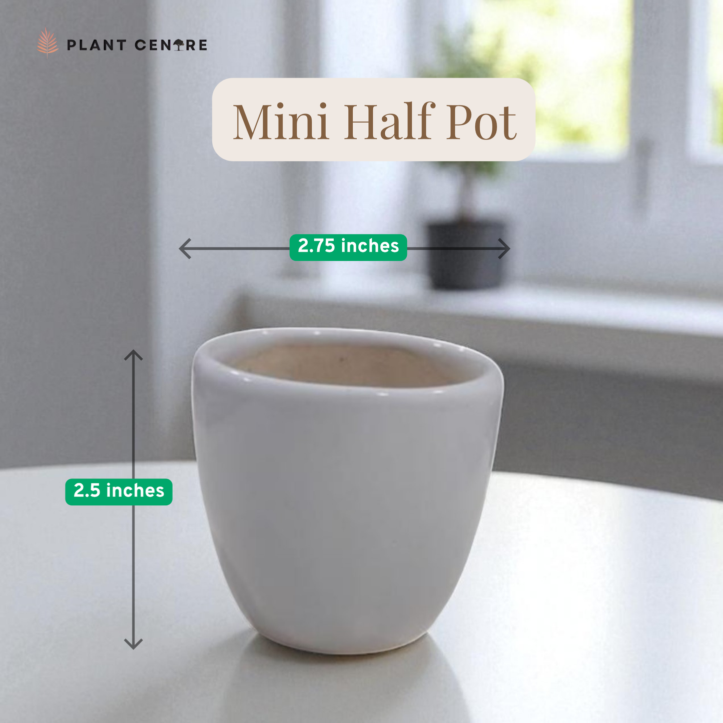 White mini half pot with dimensions labeled on a neutral background