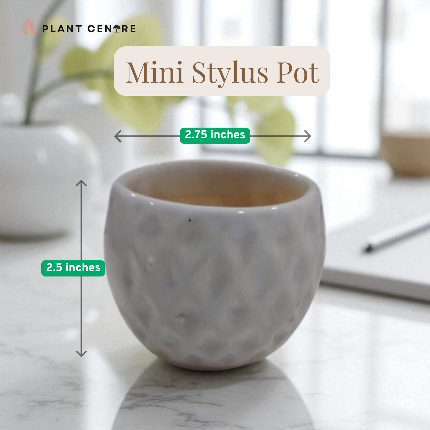 Mini stylus pot with dimensions on a marble surface