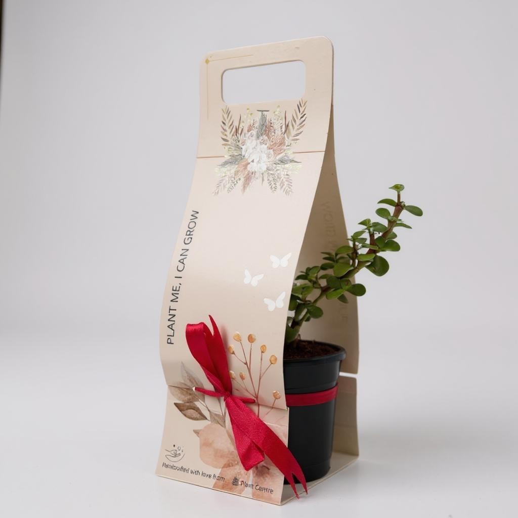 Premium Gift Package