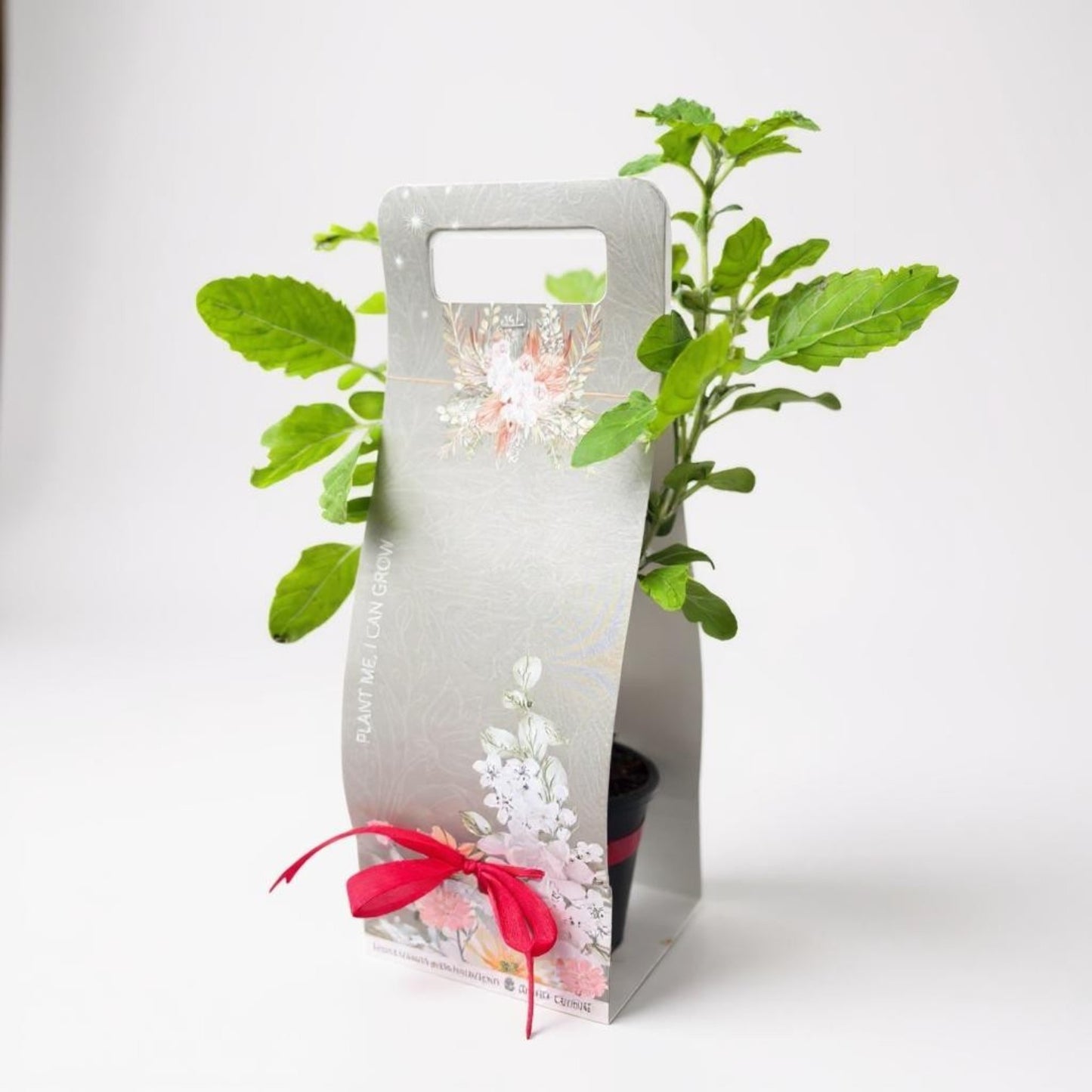 Premium Gift Package