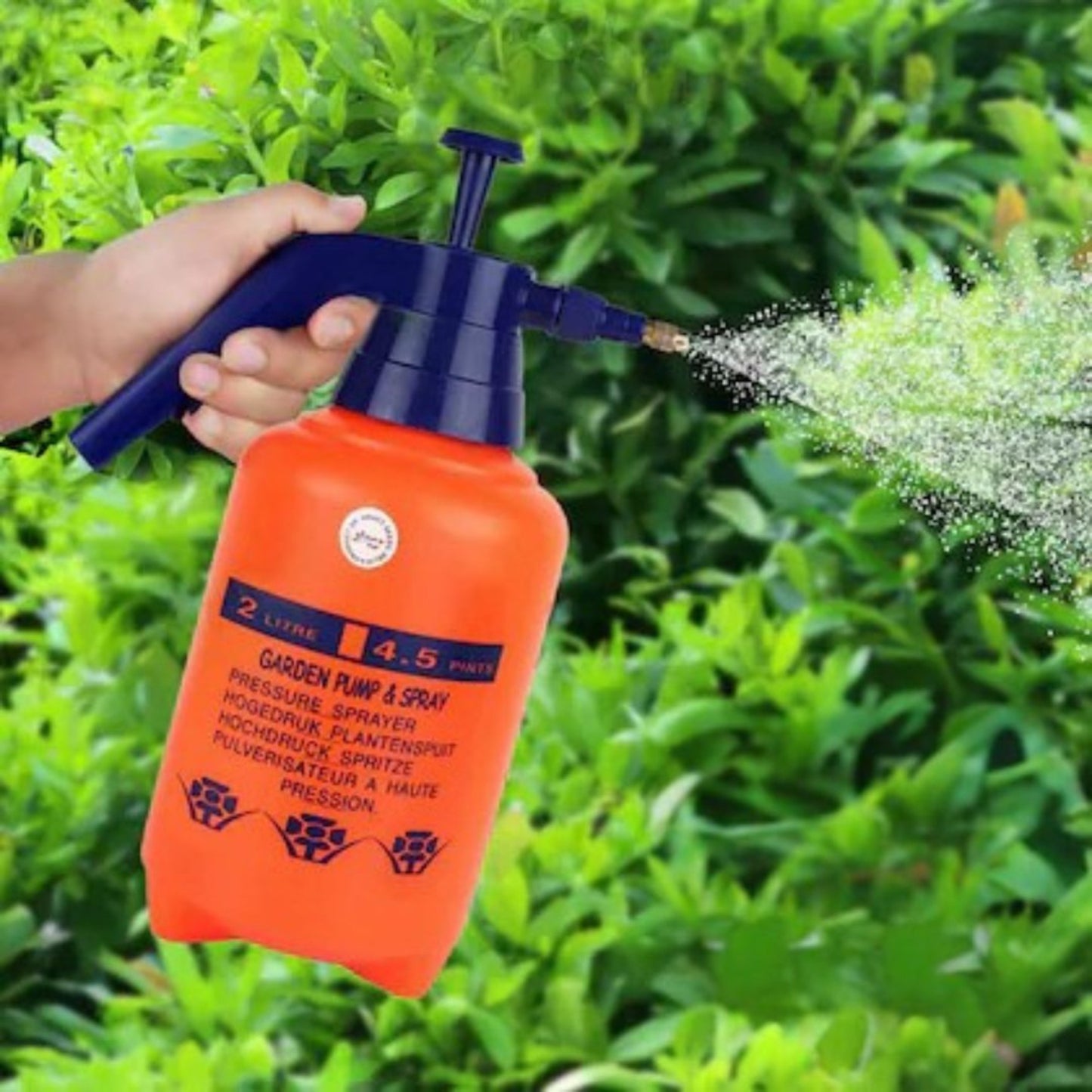 2 Litre pressure spray can shown with size reference for scale next to potted plant