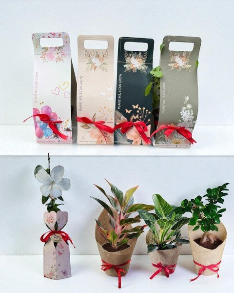 Plant Return Gifting