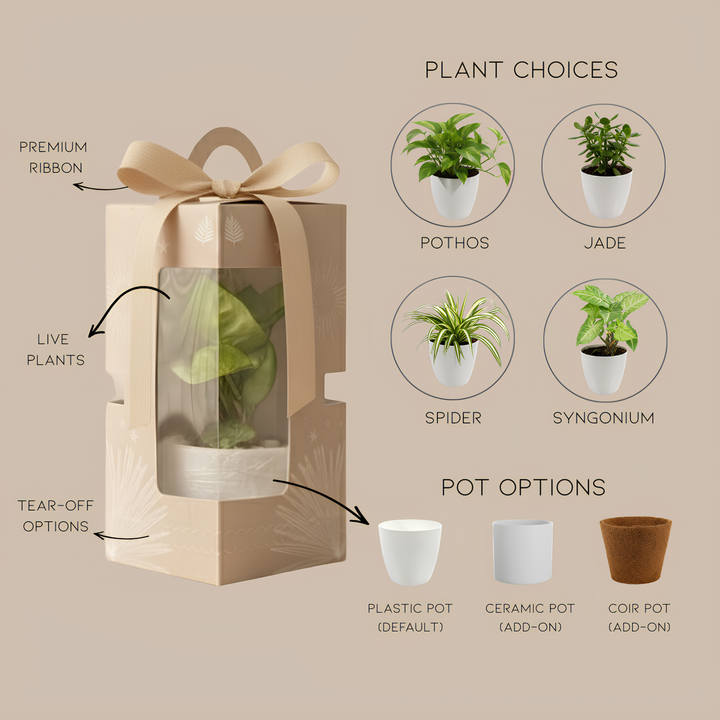 Gifting - Executive Package