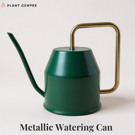 Metallic Watering Can | 2 Ltrs | Premium Garden Tool for Indoor & Outdoor Plants
