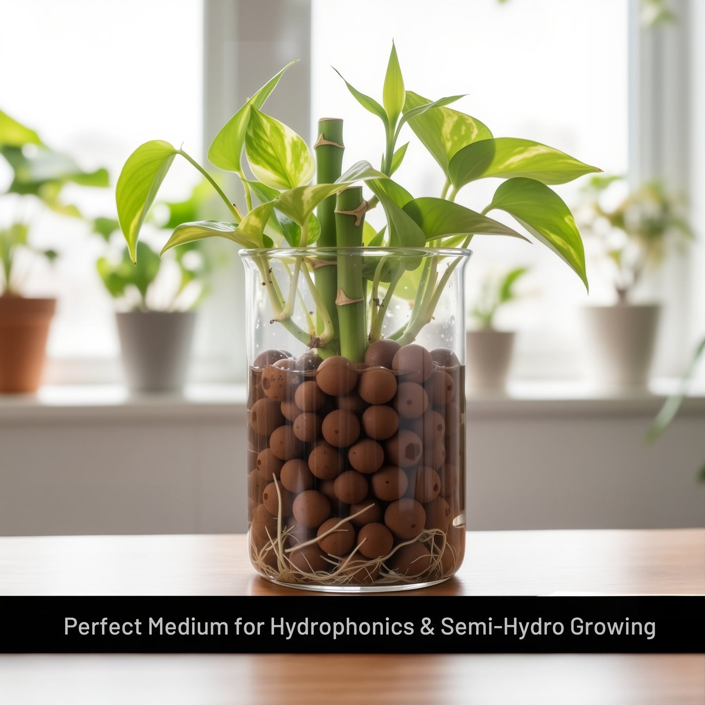 Glass container with plants and pebbles on a table, with a blurred indoor setting in the background.