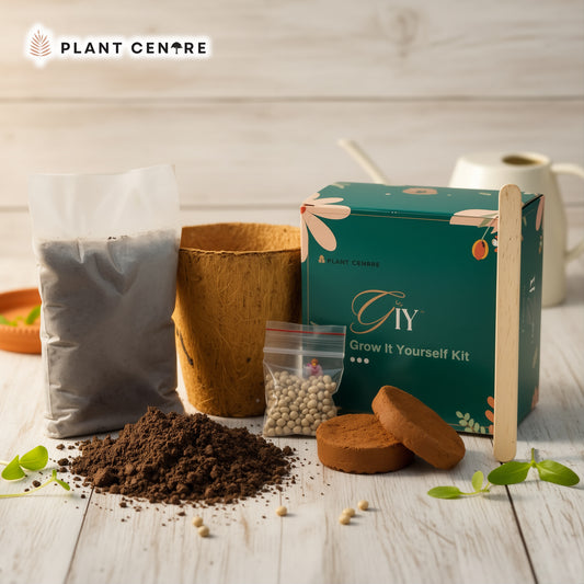 DIY Grow Kit Coir Pot for Kids | Fun Gardening Activity