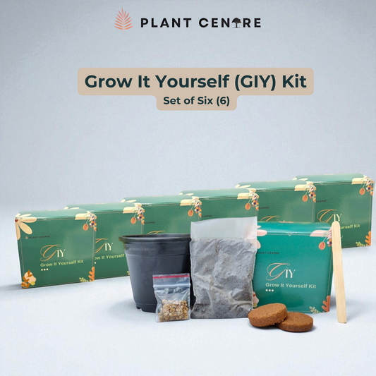 GrowItYourself Kit Set of six