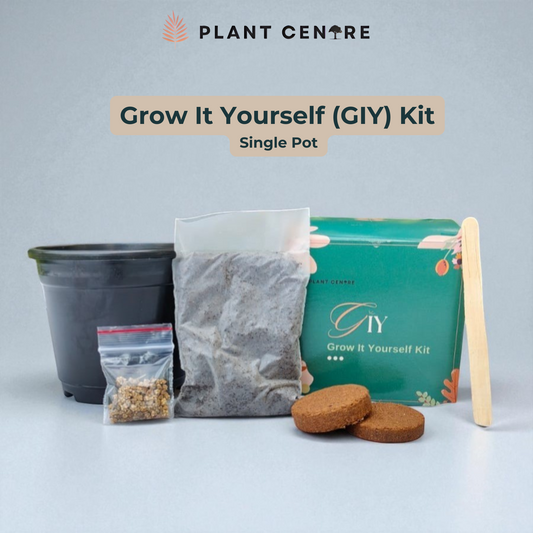 GrowItYourself Kit Single Pot