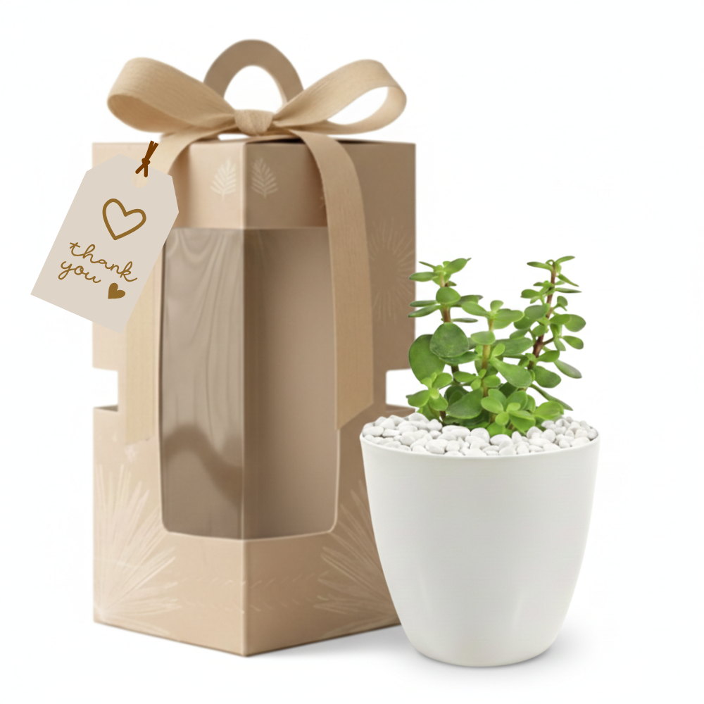 Gifting - Executive Package