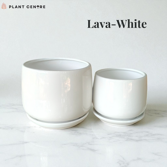 Two white plant pots on a marble surface with 'Lava-White' text and 'Plant Centre' logo.