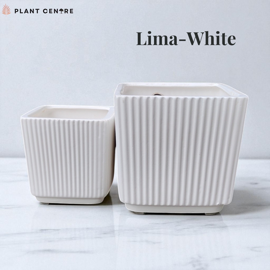Two white ribbed planters on a marble surface with 'Plant Centre' branding.