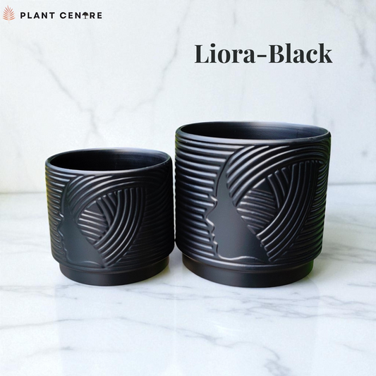 "Liora" | Elegant Ceramic Planters for Indoor