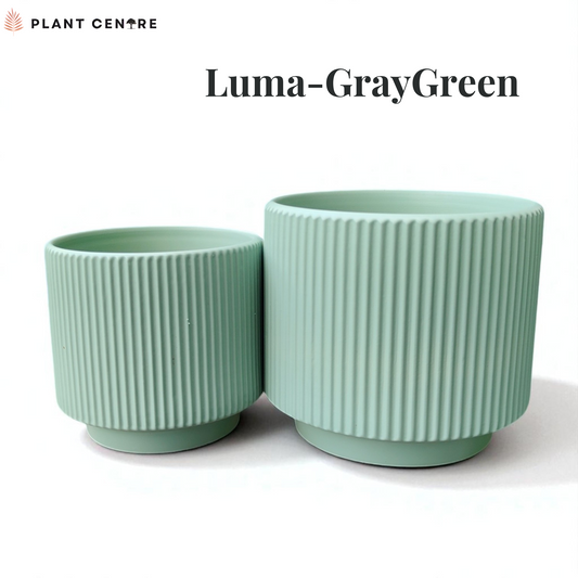 Two ribbed green plant pots on a white background with 'Plant Centre' logo and 'Luma-GrayGreen' text.