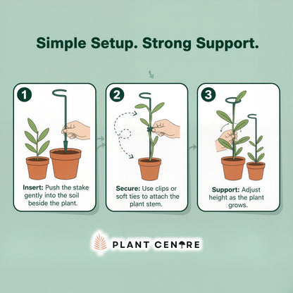 Plant Supporter Garden Stakes (Set of 10) | Metal Plant Support Sticks for Garden and Pots | Plant Centre