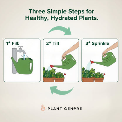 Watering Can 5 Litres | Durable Plastic Garden Can for Indoor & Outdoor Plants | Plant Centre