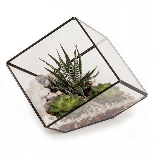 Geometric Terrarium | Modern Glass Planter for Succulents and Air Plants | Plant Centre