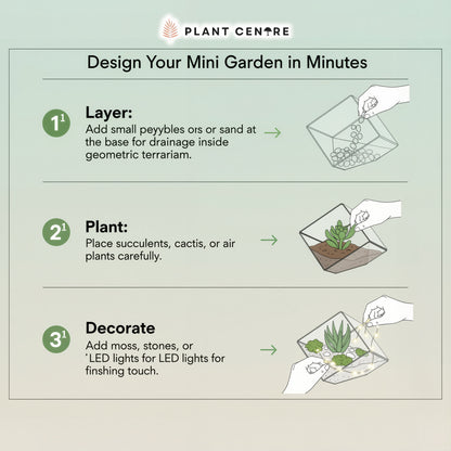 Geometric Terrarium | Modern Glass Planter for Succulents and Air Plants | Plant Centre