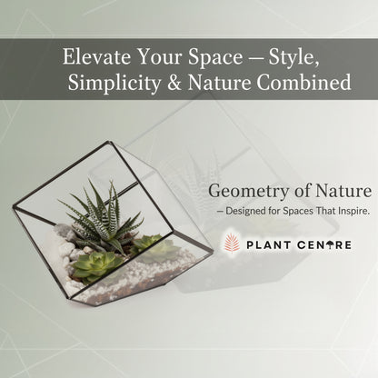 Geometric Terrarium | Modern Glass Planter for Succulents and Air Plants | Plant Centre