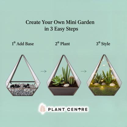 Triangle Shaped Terrarium | Elegant Glass Terrarium with Metal Frame for Succulents | Plant Centre